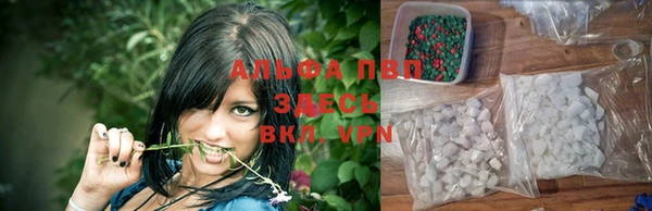 тгк Алексин