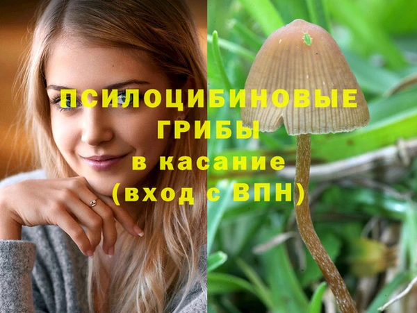 тгк Алексин
